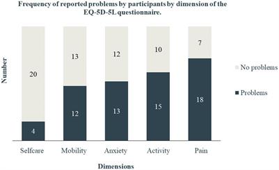 Long-term burden of war injuries among civilians in LMICs: case of the July 2006 war in Lebanon